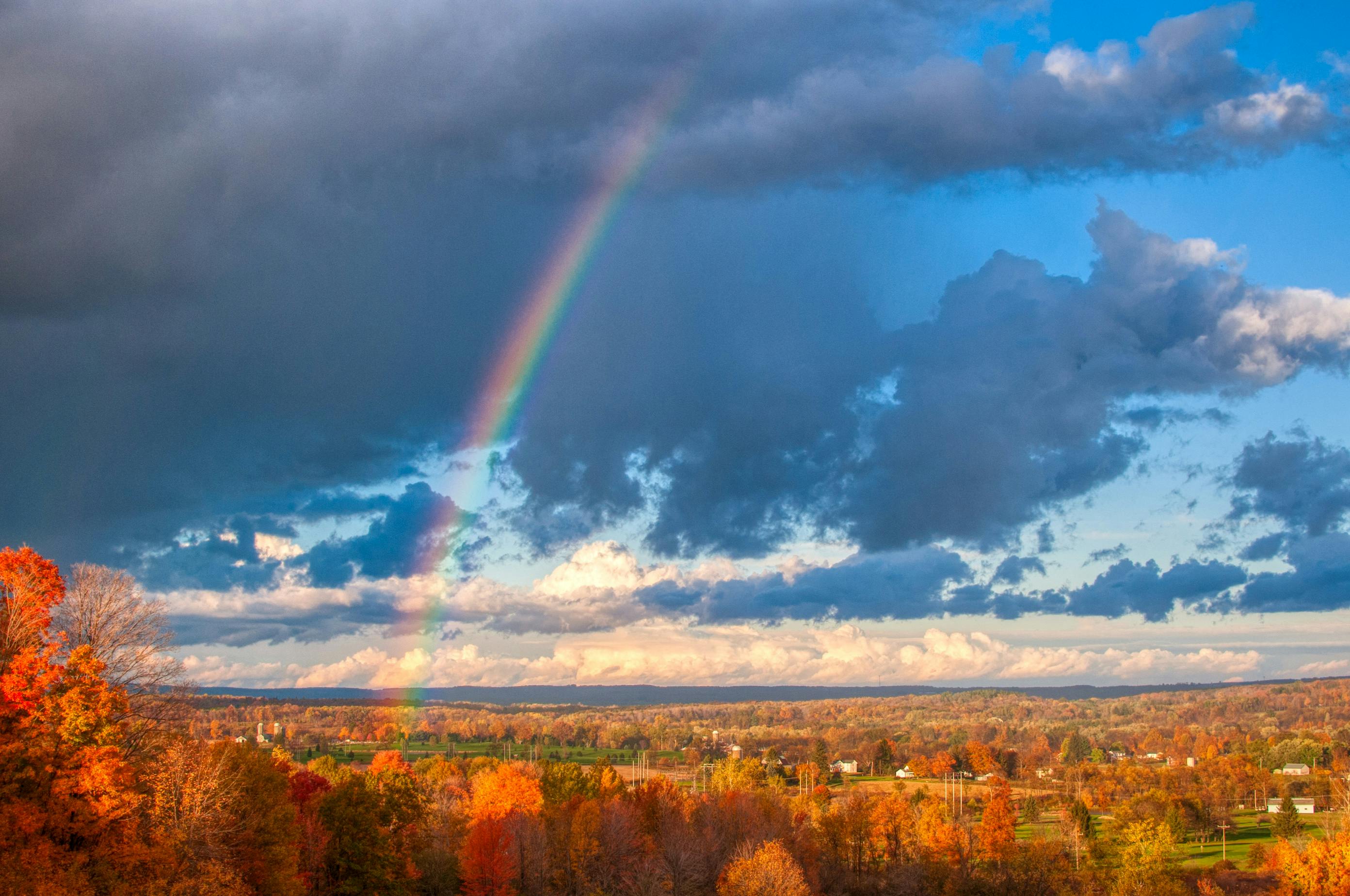 a stormy sky with a rainbow coming out of a forest during autumn